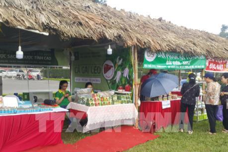 Thất vọng với “Festival văn hóa truyền thống Việt 2019”