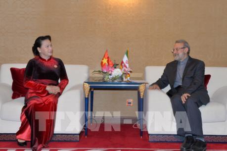 Chủ tịch Quốc hội Nguyễn Thị Kim Ngân hội kiến Chủ tịch Quốc hội Iran