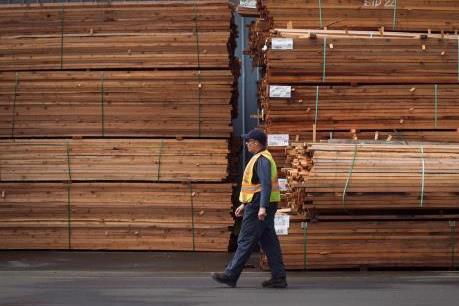 WTO ủng hộ Canada về thuế nhập khẩu gỗ mềm