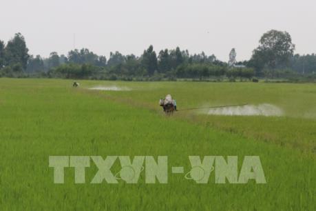 Các địa phương phòng trừ dịch hại trên lúa Đông Xuân và Hè Thu