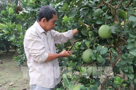 Tiền Giang chuẩn hóa nhiều đặc sản tiêu biểu