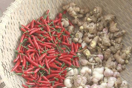 Chế thuốc trị sâu bệnh từ hỗn hợp hành, tỏi, ớt, gừng, vỏ cam...