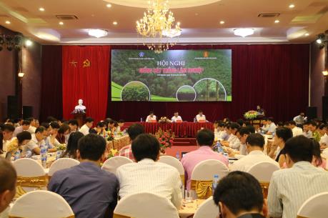 85% diện tích rừng trồng sử dụng giống có kiểm soát