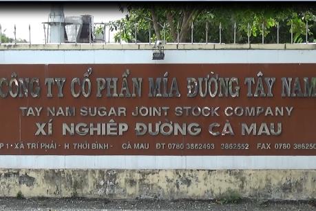 Sử dụng sai mục đích, Công ty Mía đường Tây Nam bị thu hồi 30ha đất