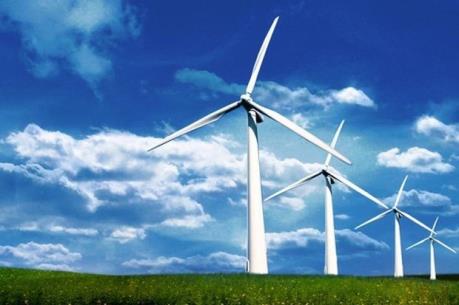 Hà Lan đánh giá cao tiềm năng phát triển điện gió của Bà Rịa-Vũng Tàu