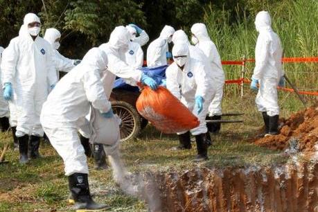 Thừa Thiên - Huế hỗ trợ chủ chăn nuôi có lợn bị tiêu hủy do dịch