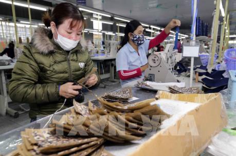 Doanh nhân gốc Việt thúc đẩy thương mại giữa Việt Nam và CH Czech