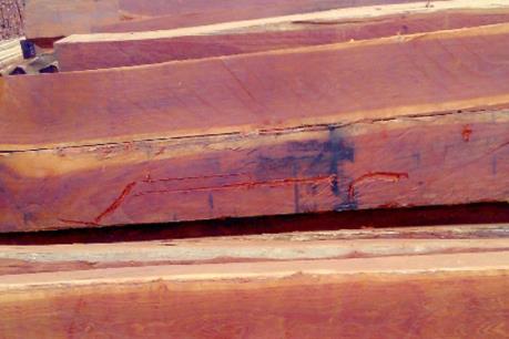 Đắk Nông khởi tố đối tượng lừa đảo bán gỗ “ảo” lấy tiền thật