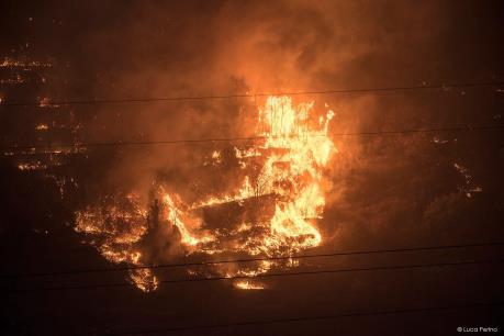 Hai sinh viên Italy bị phạt 27 triệu euro vì nướng thịt gây cháy rừng