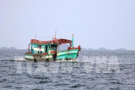 Bà Rịa-Vũng Tàu sớm lắp đặt giám sát hành trình tàu cá