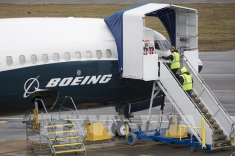 American Airlines tiếp tục hoãn bay Boeing 737 MAX đến tháng 11