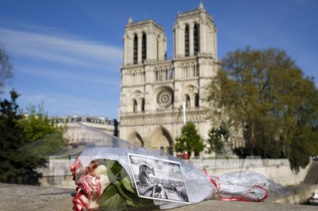 Quỹ phục dựng Nhà thờ Đức Bà Paris dưới cái nhìn đa chiều của báo giới