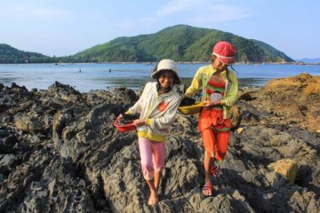 Săn ốc ở Vịnh Xuân Đài