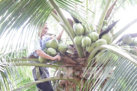 Nâng cao tiêu chuẩn chất lượng và truy xuất nguồn gốc nông sản