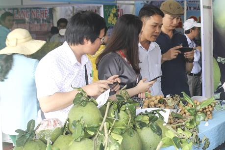 Bến Tre phát triển sản phẩm OCOP theo tiêu chuẩn quốc tế