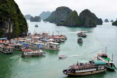 Chỉ đạo quản lý hoạt động tàu du lịch trên vịnh Hạ Long, Bái Tử Long