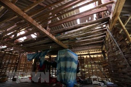 Mưa kèm gió lốc gây thiệt hại nặng tại Tuyên Quang