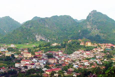 Thanh tra Dự án cấp phát cây giống nghi vấn sai phạm