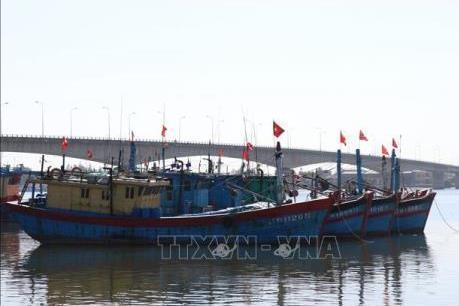 Đà Nẵng kêu gọi các địa phương khắc phục "thẻ vàng" IUU