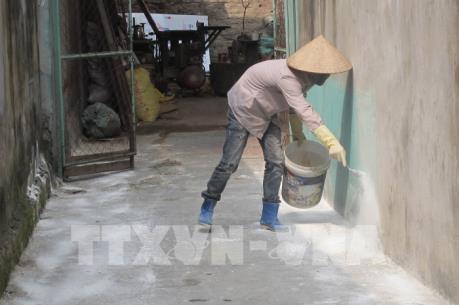 Hai điểm khó nhất khi xử lý dịch tả lợn châu Phi tại Hải Phòng