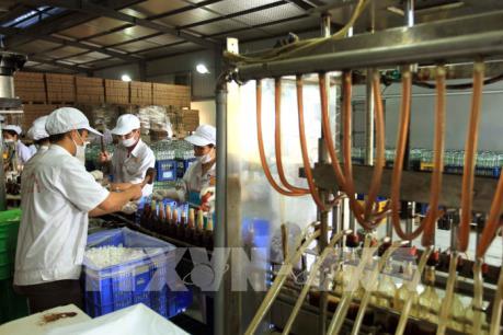 Tìm cách hỗ trợ bán hàng cho nước mắm truyền thống