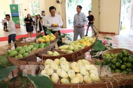 Việt Nam và Trung Quốc thúc đẩy hợp tác về thương mại nông sản