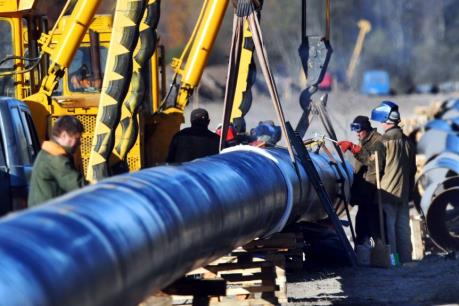 Tổng thống Nga khẳng định làm rõ vụ đường ống dẫn dầu Druzhba bị nhiễm bẩn