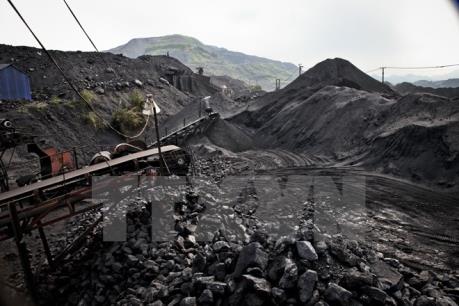 GENCO1 sẽ ký hợp đồng mua bán than dài hạn với TKV