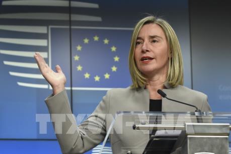 Phản ứng của EU về việc Mỹ rút khỏi Hiệp ước Buôn bán vũ khí quốc tế LHQ
