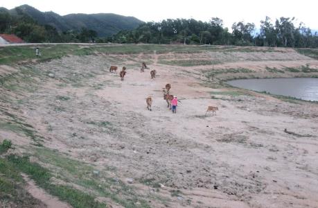 Khánh Hòa: Một số địa phương đang đối mặt nguy cơ hạn hán
