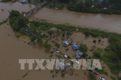Indonesia: 8 công ty khai thác than bị cáo buộc gây lũ lụt 