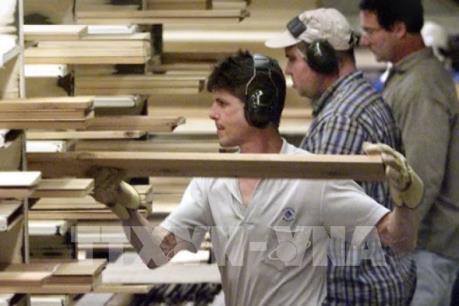 "Cuộc chiến" chưa có hồi kết giữa Canada và Mỹ trong lĩnh vực gỗ xẻ mềm