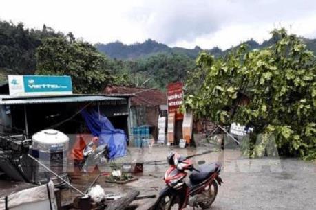 Lốc xoáy và lũ quét gây thiệt hại lớn ở Lào Cai