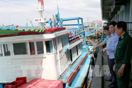 Xử lý nghiêm địa phương và tàu cá tái diễn vi phạm khai thác IUU