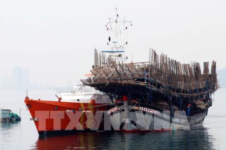 Đà Nẵng cứu hộ thành công 52 thuyền viên gặp nạn trên biển