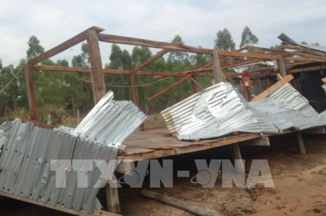 Gia Lai: Chung tay giúp người dân dựng lại nhà cửa do lốc xoáy