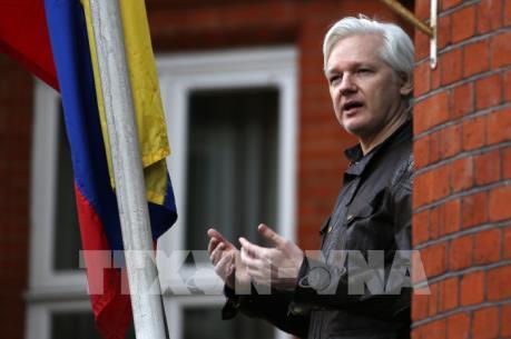 Các chuyên gia LHQ chỉ trích mức án đối với nhà sáng lập WikiLeaks