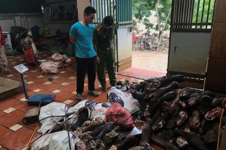 Hà Nội thu giữ 3 tấn chân bò và nội tạng động vật nhập lậu