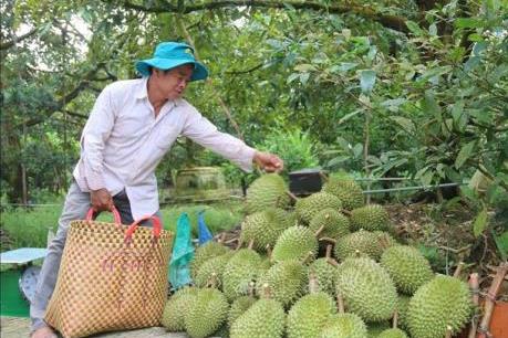 “Vương quốc trái cây” trên con đường hội nhập