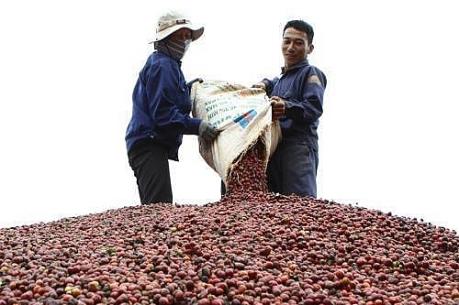 Ra mắt Trung tâm Kết nối tiêu thụ nông sản