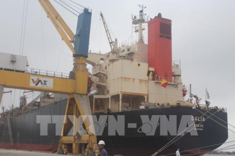 Khai trương tuyến dịch vụ vận tải container quốc tế