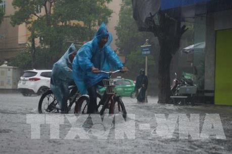 Dự báo thời tiết ngày mai 15/6: Vùng núi và trung du Bắc Bộ có mưa to