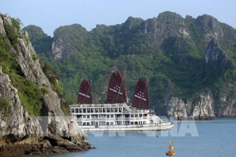 Ngắm Vịnh Hạ Long trên tàu du lịch