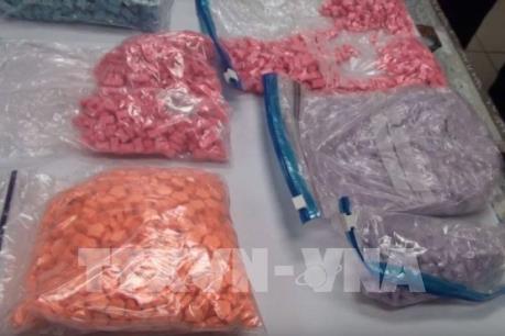 Thu giữ gần 8kg ma túy tổng hợp gửi qua đường bưu kiện