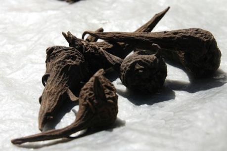 Hai người ở Tuyên Quang nguy kịch vì ngộ độc rượu ngâm củ ấu tẩu