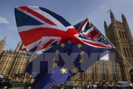 Vấn đề Brexit: Pháp không chấp thuận Anh gia hạn rời EU