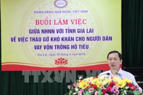 Ngành ngân hàng tháo gỡ khó khăn cho người trồng tiêu