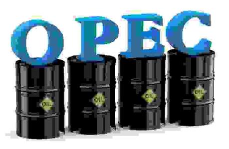 OPEC thiếu thông tin về triển vọng nguồn cung dầu trong nửa cuối năm 2019