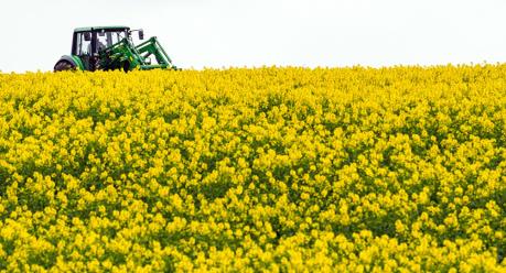 Chính phủ Nga chi hơn 46 triệu USD cho ngành nông nghiệp