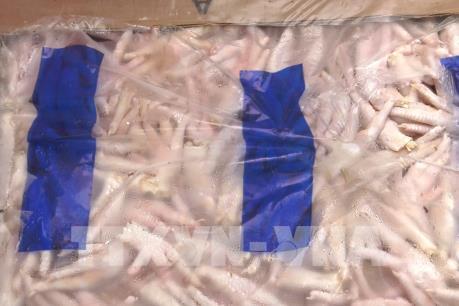 Bắt giữ hàng tấn chân gà và tôm hùm đất không rõ nguồn gốc